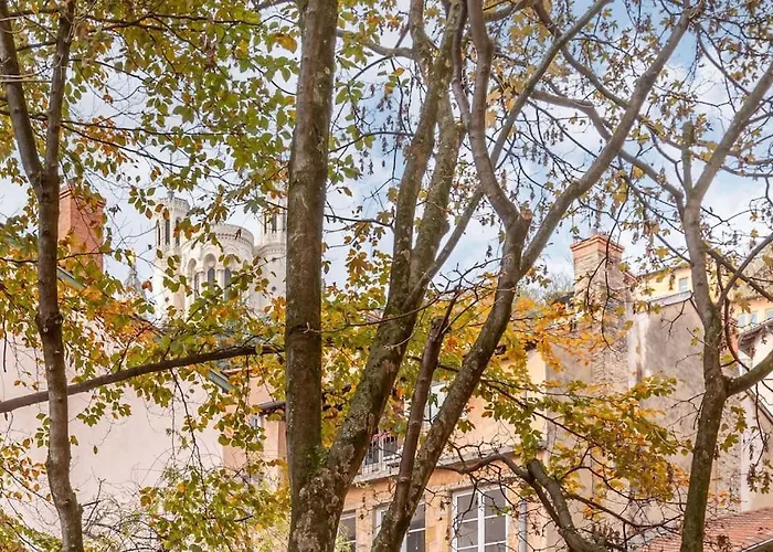 Le Cocon De Saint-Jean